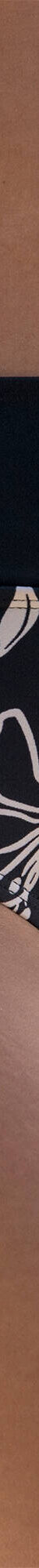 Culotte de bain imprimé Cidra - taille haute (noir / beige) Culotte de bain imprimé Cidra - taille haute (noir / beige)